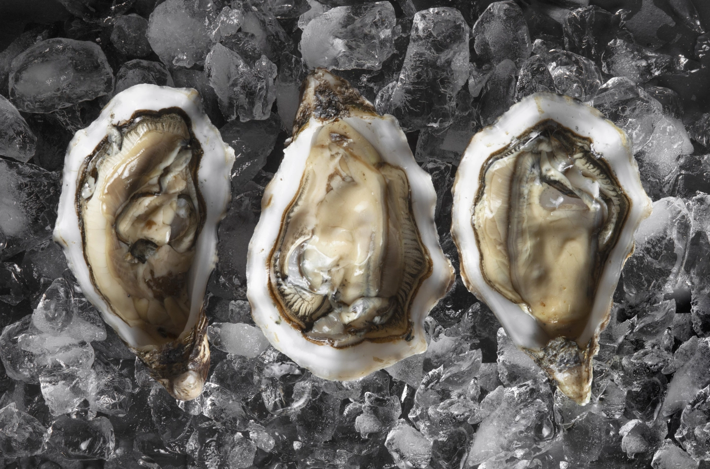 岡山海鮮的魅力，牡蠣、章魚、小鰤魚、吻仔魚