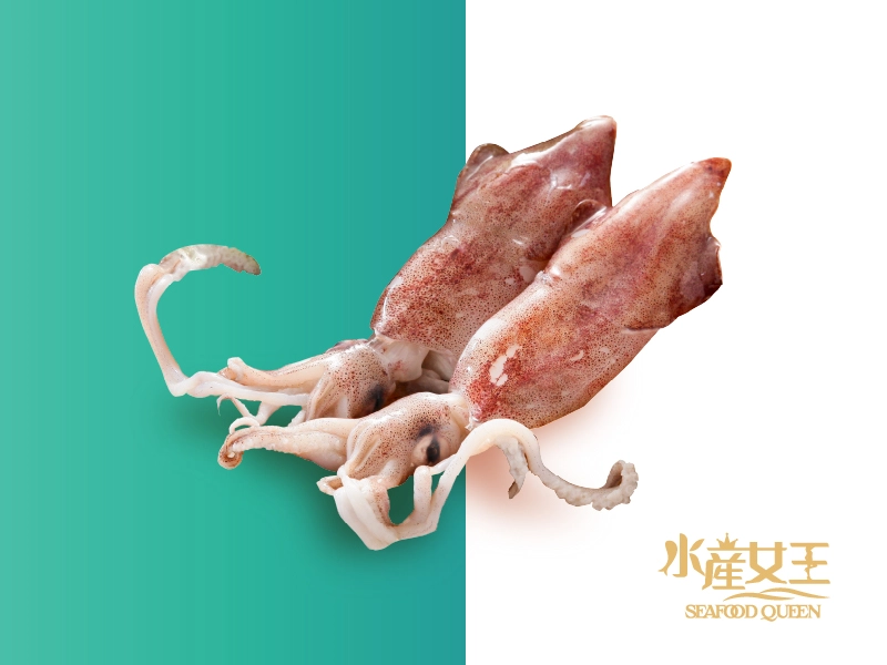 頂級澎湖野生中卷