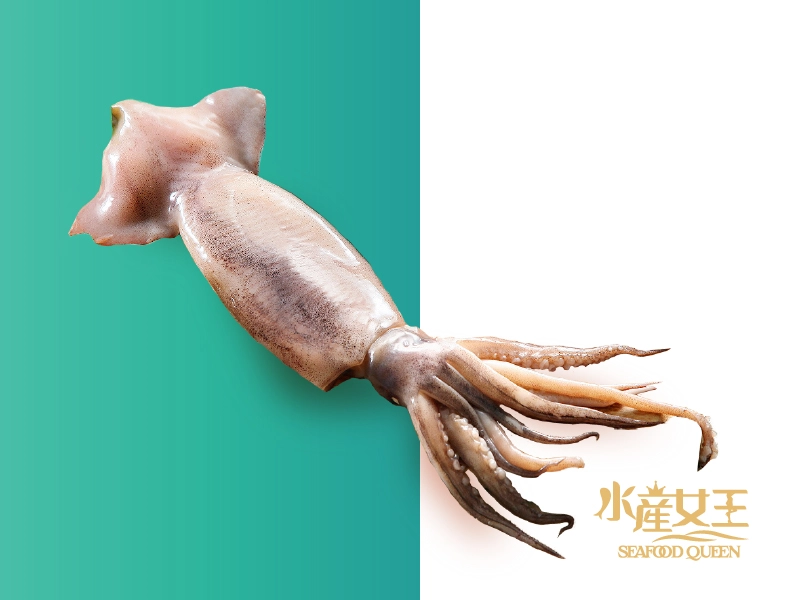 阿根廷特大生魷魚