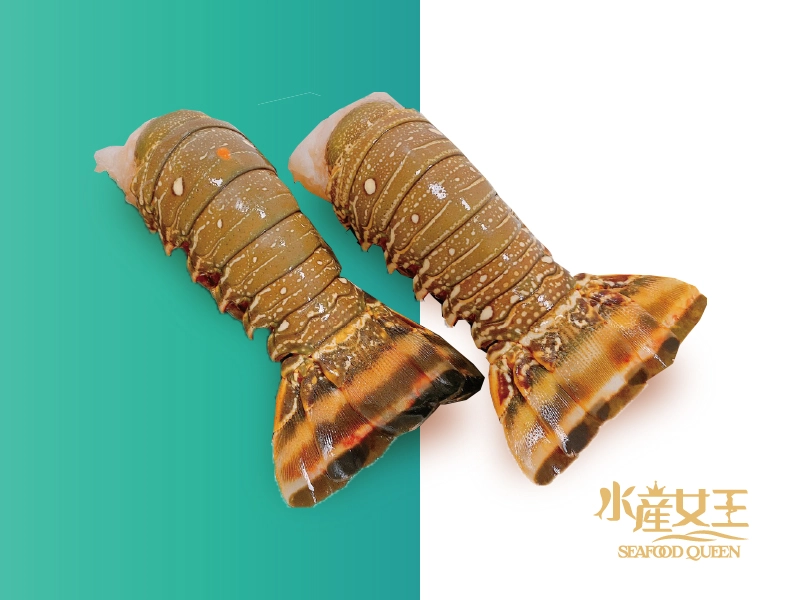 鮮凍龍蝦身