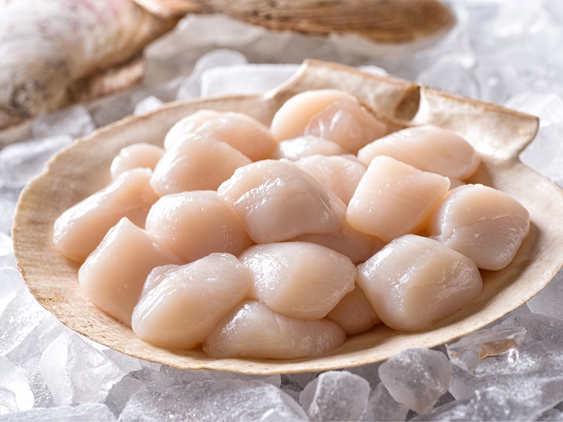 日本北海道生食級干貝
