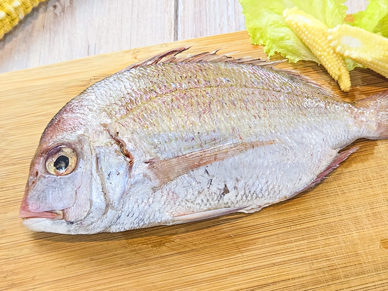鮮凍嘉鱲魚