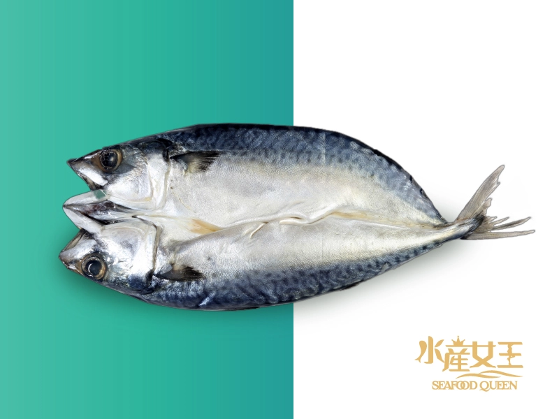 台灣南方澳薄鹽鯖魚一夜干